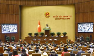 Cử tri An Giang: Quyết sách đúng đắn, sát thực tiễn tạo động lực mạnh mẽ cho phát triển