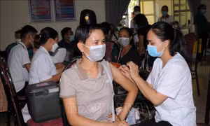 Sơn La triển khai đồng bộ các nền tảng công nghệ phòng, chống dịch COVID-19