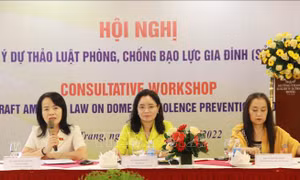 Lấy ý kiến về dự thảo Luật Phòng, chống bạo lực gia đình (sửa đổi)