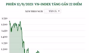 Phiên 12/9/2023: VN-Index tăng gần 22 điểm