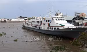 Kiên Giang: Tàu cao tốc tuyến biển tạm ngừng hoạt động do thời tiết xấu