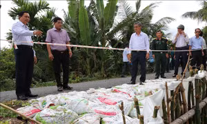 Khắc phục các điểm sạt lở tuyến đê bao ven sông Hậu