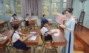 Thành phố Hồ Chí Minh thực hiện phân tuyến tuyển sinh đầu cấp linh hoạt