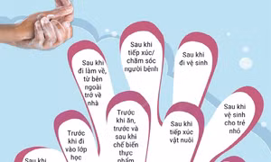 Những thời điểm cần rửa tay để phòng bệnh