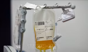 Anh bãi bỏ lệnh cấm hiến tặng huyết tương trong điều trị y tế