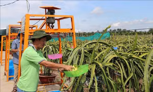 Công nhận hai huyện, thị xã của Tiền Giang đạt chuẩn nông thôn mới