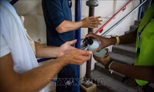 Tăng cường các biện pháp kiểm soát, phòng, chống bệnh đậu mùa khỉ