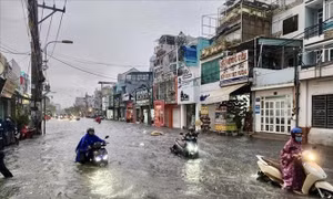 TP Hồ Chí Minh: Đầu tư gần 228 tỷ đồng xây dựng 89 công trình phòng, chống thiên tai
