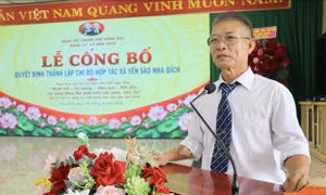 Mở rộng tổ chức Đảng trong doanh nghiệp khu vực ngoài Nhà nước