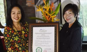 Bà Rịa - Vũng Tàu: Công bố điểm đến trung hòa Carbon-Net Zero Station