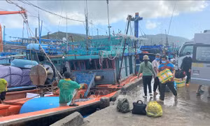 Ngư dân Bình Định ra khơi chuyến biển cuối năm