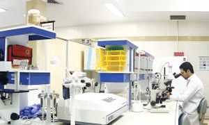 Iran đạt bước tiến đáng kể trong phát triển tế bào gốc và liệu pháp tế bào