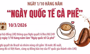 Ngày 1/10 hàng năm là 'Ngày quốc tế Cà phê'