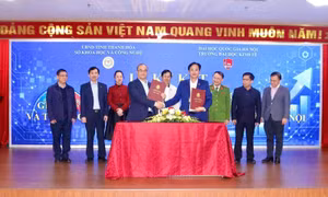 Thí điểm phần mềm đánh giá cán bộ, công chức, viên chức theo KPI