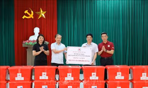 Trao hỗ trợ người dân vùng bão lũ tỉnh Ninh Bình, Phú Thọ