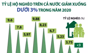 Tỷ lệ hộ nghèo trên cả nước giảm xuống dưới 3% trong năm 2020