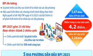 Lần đầu tiên công bố Chỉ số Hiệu quả Kinh tế Tư nhân (BPI 2025)