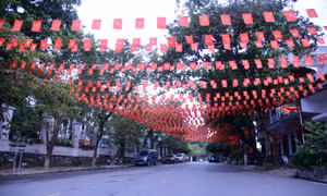 Thủ đô kháng chiến hướng về Đại hội XIII của Đảng