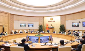 Chính phủ ban hành Nghị quyết phiên họp chuyên đề về xây dựng pháp luật tháng 1 năm 2022