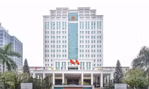 Sau hợp nhất, Bộ Nông nghiệp và Môi trường tinh gọn 45% đầu mối tổ chức