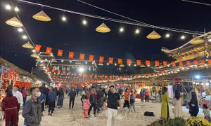 Sắc Xuân lan tỏa khắp Ninh Bình