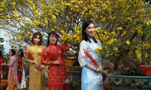 Cà Mau: Khát vọng vươn xa