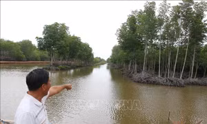Bảo vệ, phát triển rừng gắn với đảm bảo sinh kế cho người dân