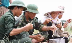10 hoạt động tiêu biểu của thanh niên Quân đội giai đoạn 2017 - 2022