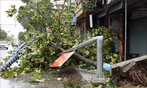 Dự báo 10 giờ ngày 29/9, bão số 10 đi vào đất liền các tỉnh Nghệ An-Hà Tĩnh và suy yếu dần 