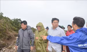 Bí thư Tỉnh ủy Cà Mau kiểm tra tình hình sạt lở đê biển Tây