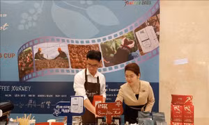 Nhiều hoạt động hưởng ứng Lễ hội Cà phê Buôn Ma Thuột lần thứ 8