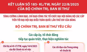 Nhiệm vụ của các cấp ủy, tổ chức đảng, tỉnh ủy, thành ủy, đảng ủy trực thuộc Trung ương