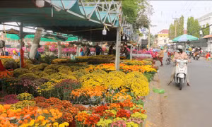 Đa dạng thị trường hoa Tết