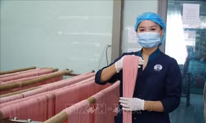Người đưa thương hiệu mì rau củ Organic vươn xa