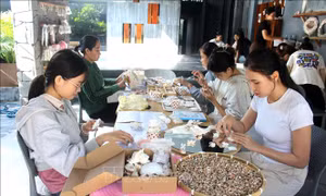 Tạo thương hiệu quà lưu niệm giá trị cao từ vỏ sò, vỏ ốc