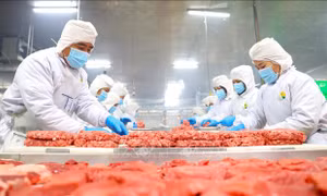 Khai mở thị trường Halal cho biên giới Tây Nam và vùng Đồng bằng sông Cửu Long