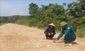 Thấp thỏm nỗi lo từ những tuyến đê xuống cấp ở Thanh Hóa