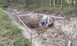 Phát hiện hầm chứa vật liệu nổ trong rừng tràm ở Huế