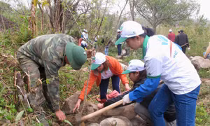 Lai Châu: Khởi động Tháng Thanh niên và hưởng ứng Tết trồng cây năm 2021