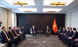 Tổng Bí thư, Chủ tịch nước Tô Lâm tiếp đại diện một số doanh nghiệp và trường đại học tại LB Nga