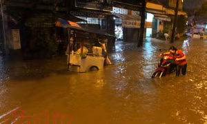 TP Hồ Chí Minh