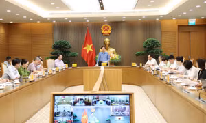 Quyết liệt hơn trong công tác quản lý vùng trồng, cơ sở đóng gói và kiểm nghiệm