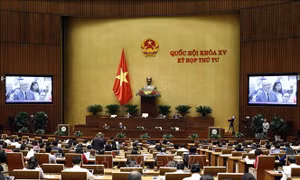 Cử tri TP Hồ Chí Minh kiến nghị tăng cường thanh tra, kiểm toán để chống lãng phí