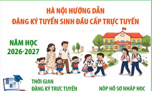 Hà Nội: Hướng dẫn đăng ký tuyển sinh đầu cấp trực tuyến năm học 2026 - 2027