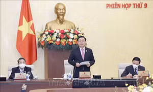 Đánh giá tác động đầy đủ khi đưa người nghiện ma túy vị thành niên vào cơ sở cai nghiện bắt buộc