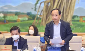 Kết nối giao thông Đồng bằng sông Cửu Long để cơ bản hoàn thành tuyến đường Hồ Chí Minh