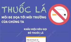 Thuốc lá - Mối đe dọa tới môi trường của chúng ta