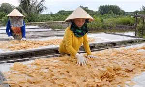 Cà Mau đổi mới công tác đào tạo nghề cho lao động nông thôn - Bài cuối: Gỡ khó bằng nhiều giải pháp phù hợp
