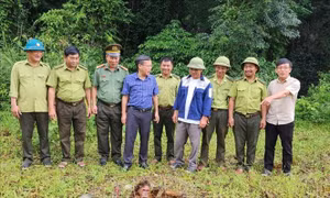 Trả về môi trường sống tự nhiên một cá thể khỉ mặt đỏ quý hiếm