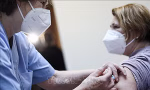 Bỉ đồng ý tiêm vaccine ngừa COVID-19 cho trẻ 5-11 tuổi 
